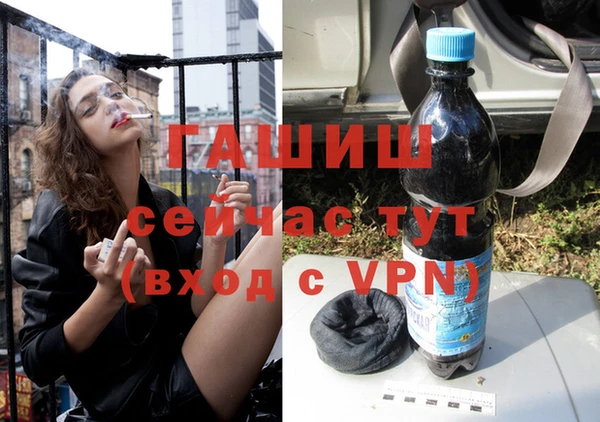 ГАЛЛЮЦИНОГЕННЫЕ ГРИБЫ Ельня