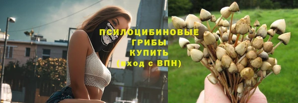 ГАЛЛЮЦИНОГЕННЫЕ ГРИБЫ Елизово
