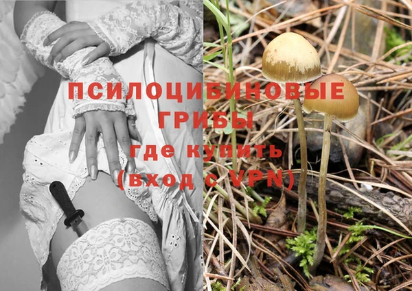 прущий лед Заводоуковск