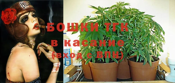 ГАЛЛЮЦИНОГЕННЫЕ ГРИБЫ Елизово