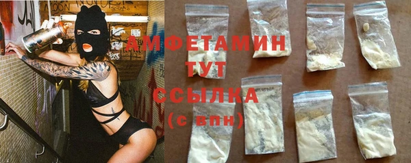 ГАЛЛЮЦИНОГЕННЫЕ ГРИБЫ Ельня