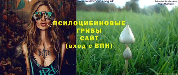 прущий лед Заводоуковск
