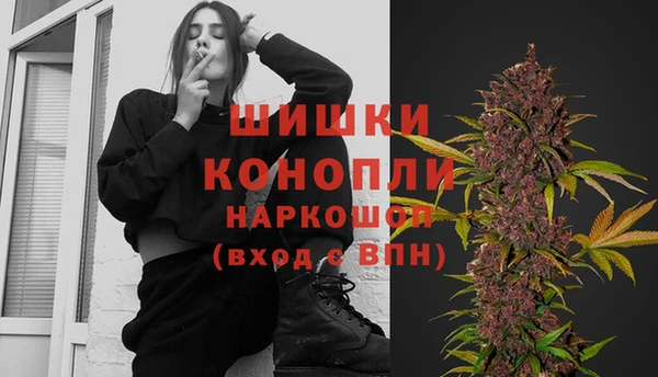 ГАЛЛЮЦИНОГЕННЫЕ ГРИБЫ Елизово
