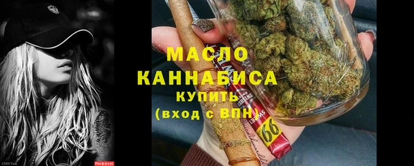 ГАЛЛЮЦИНОГЕННЫЕ ГРИБЫ Ельня