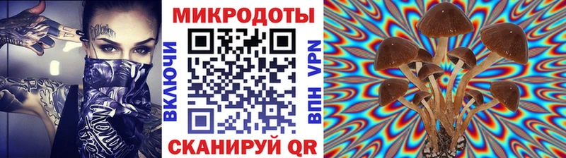 Псилоцибиновые грибы Magic Shrooms  Купить  Зуевка 